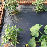 Plastic Sheet Black