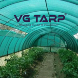 Shade Net Green
